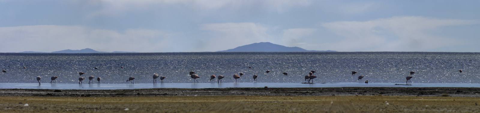 photo panoramique d'argentine: laguna de pozuelo