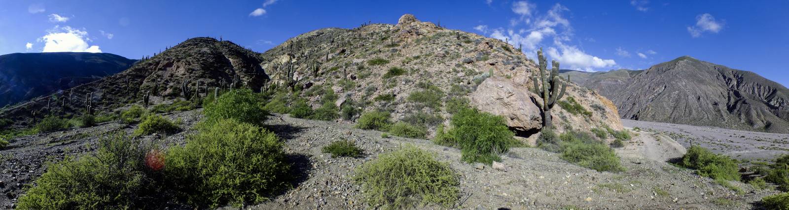 photo panoramique d'argentine: quebrada de humahuaca