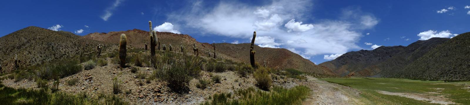 photo panoramique d'argentine: quebrada del toro