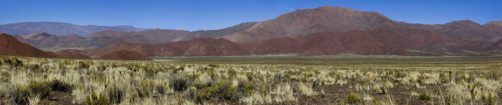 photo panoramique d'argentine: quebrada del toro