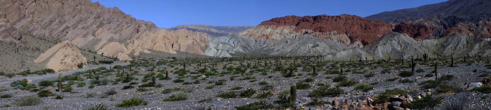 photo panoramique d'argentine: quebrada del toro