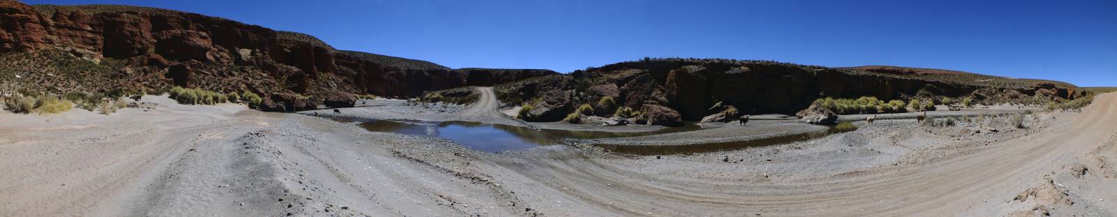 photo panoramique d'argentine: route nationale 40