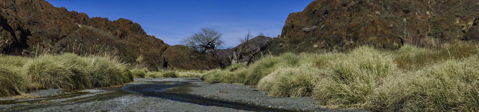 photo panoramique d'argentine: rio potrero