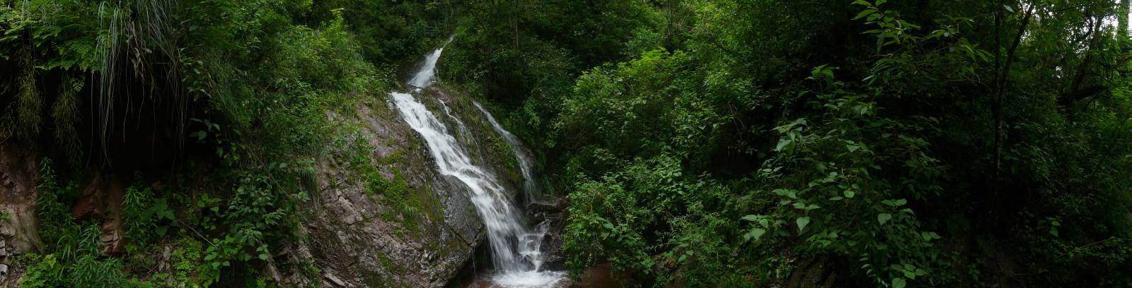 photo panoramique d'argentine: yungas
