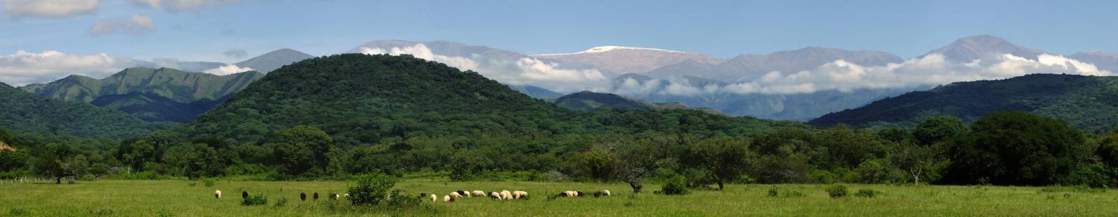 photo panoramique d'argentine: yungas