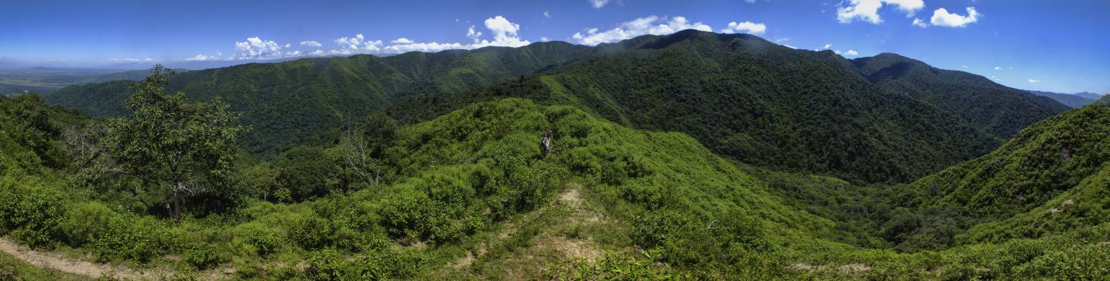 photo panoramique d'argentine: yungas