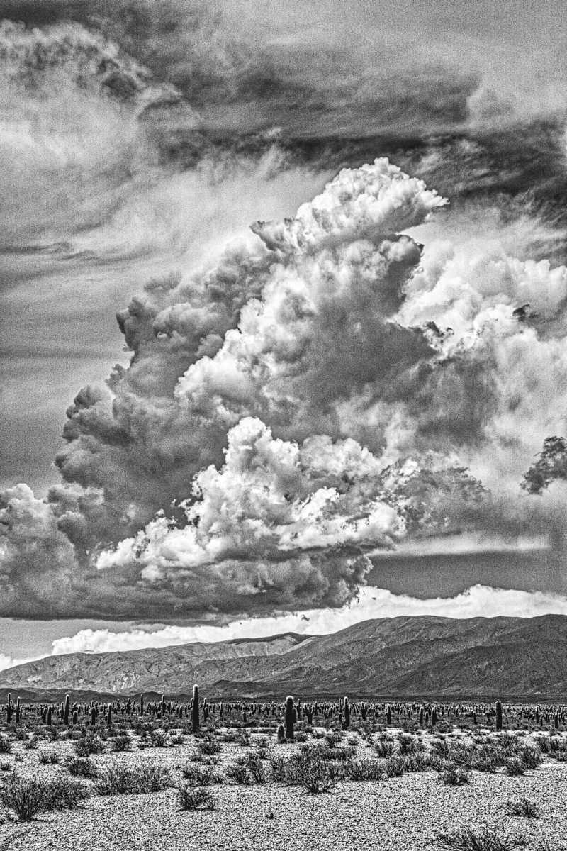 photos noir et blanc d'argentine