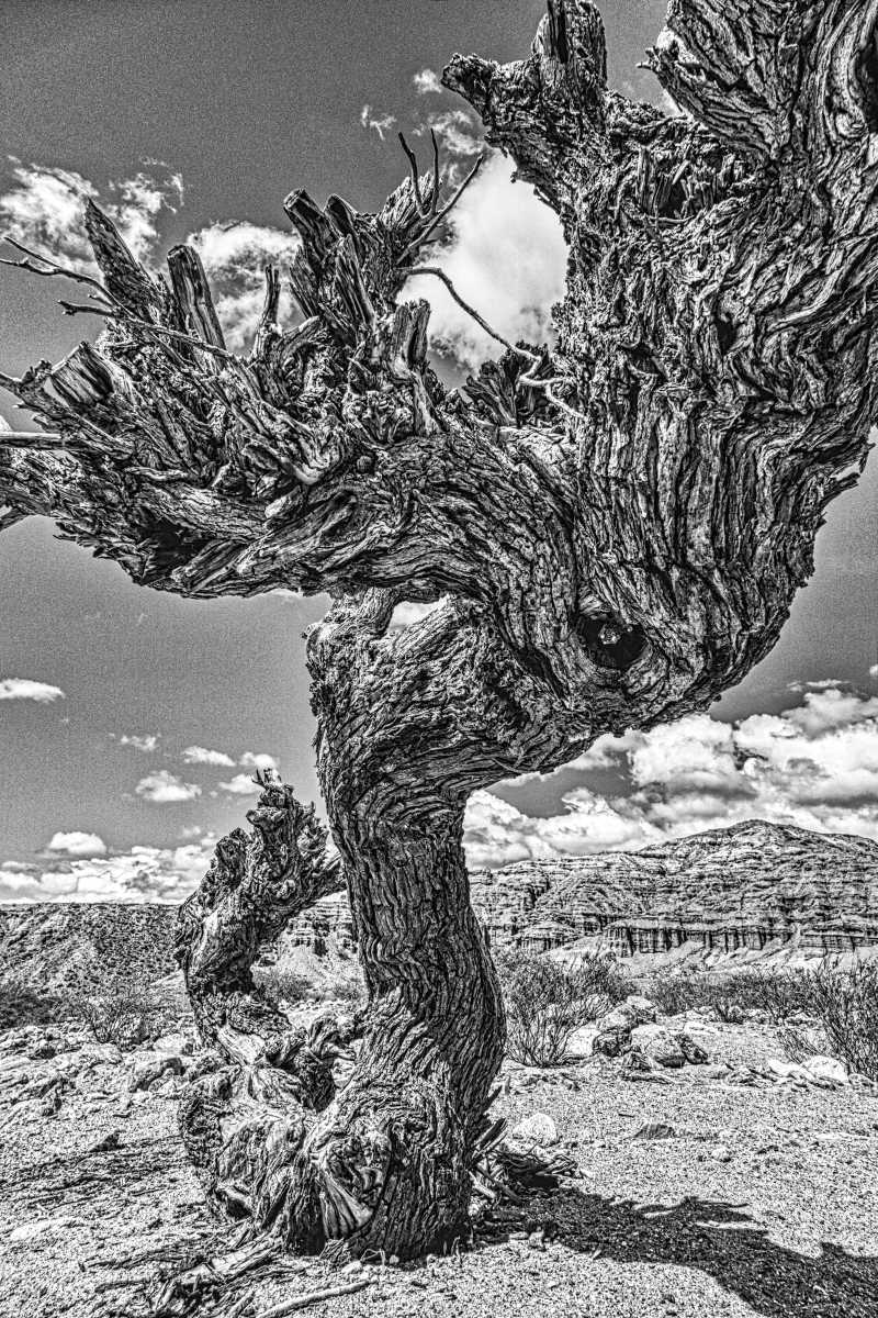 photos noir et blanc d'argentine