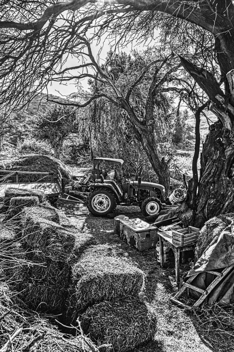 photos noir et blanc d'argentine