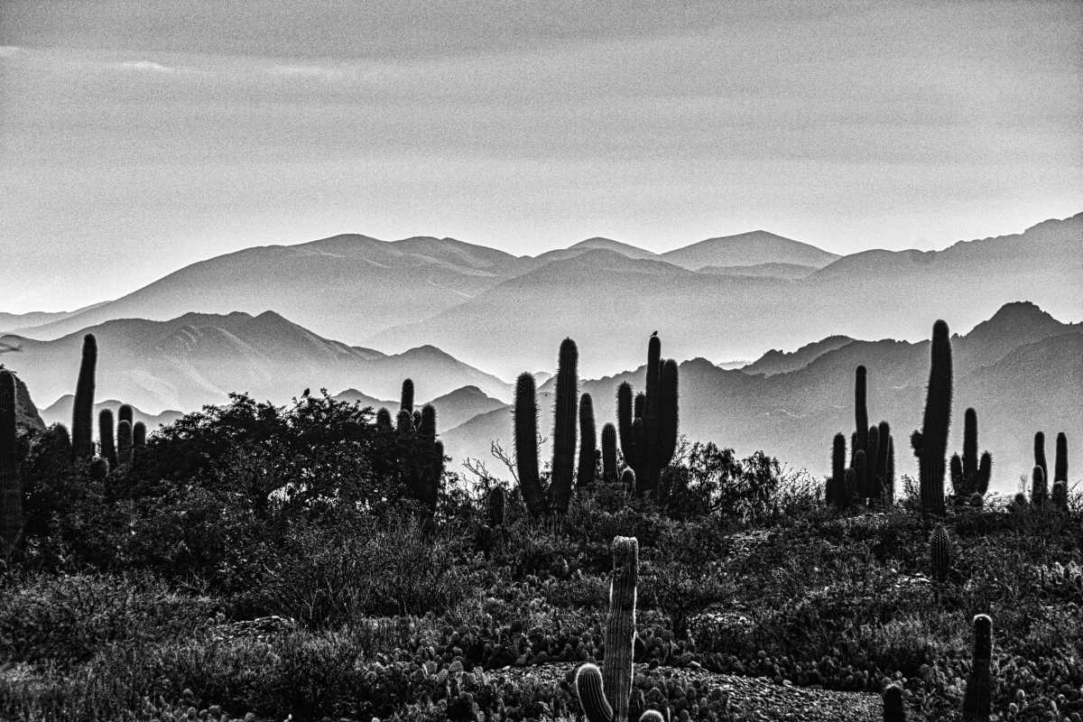 photos noir et blanc d'argentine