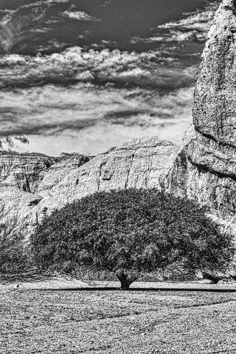 photos noir et blanc d'argentine