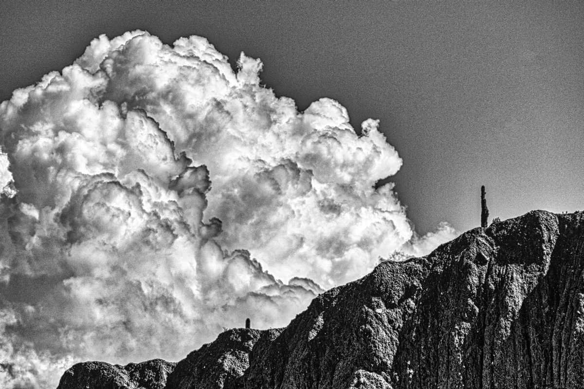 photos noir et blanc d'argentine