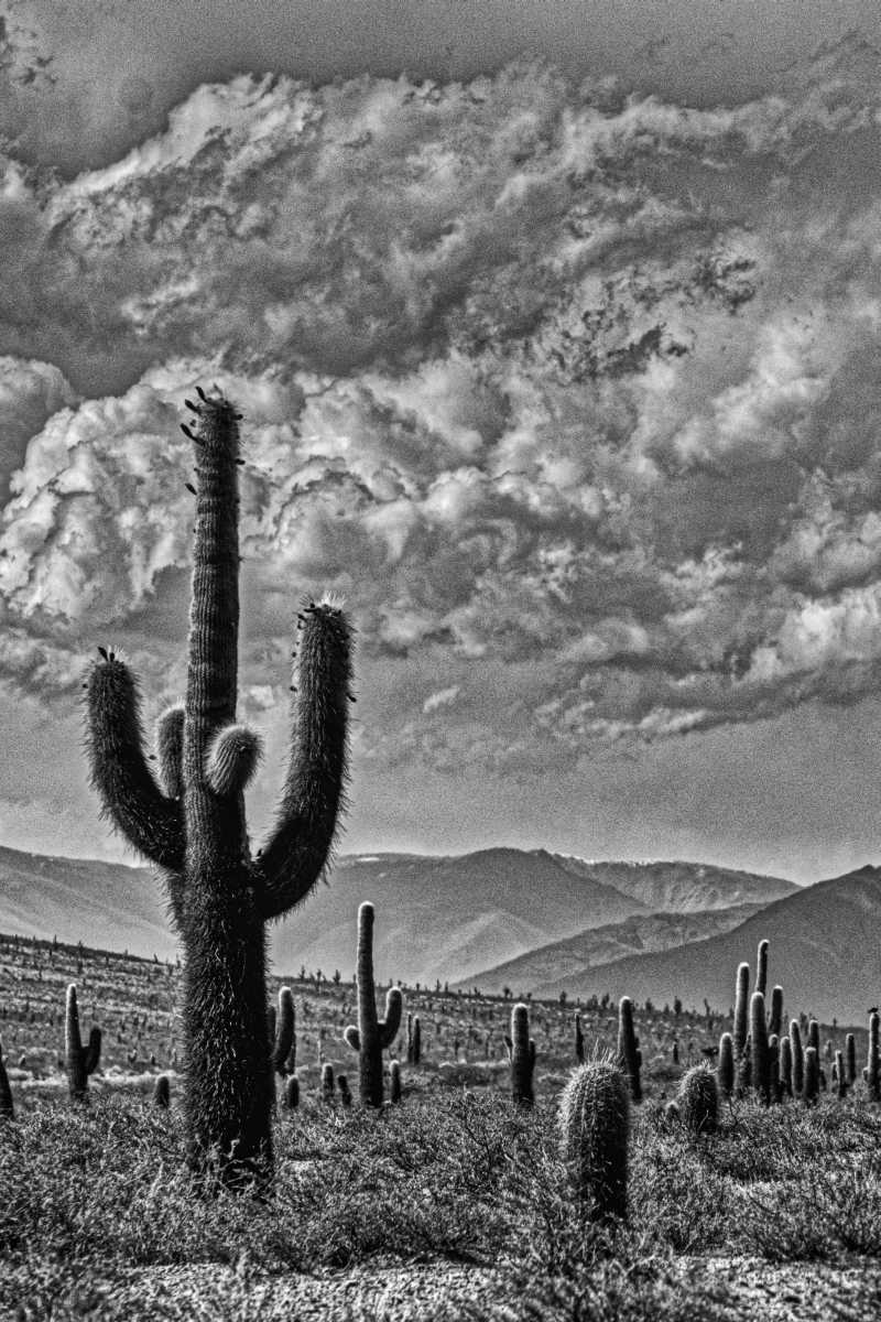 photos noir et blanc d'argentine