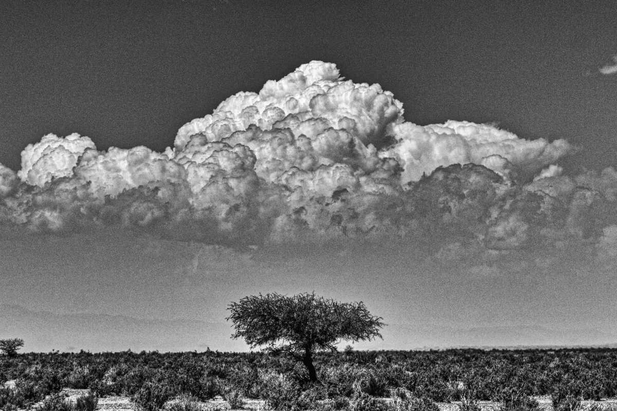 photos noir et blanc d'argentine