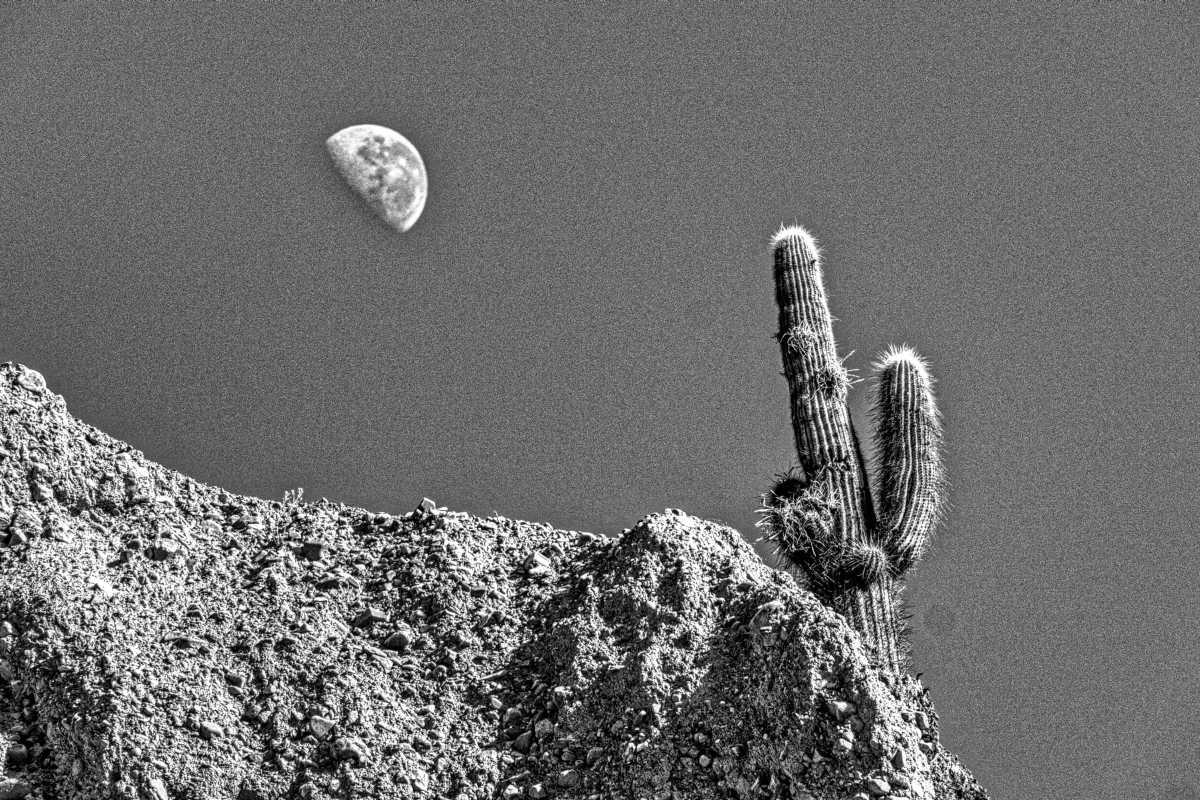 photos noir et blanc d'argentine