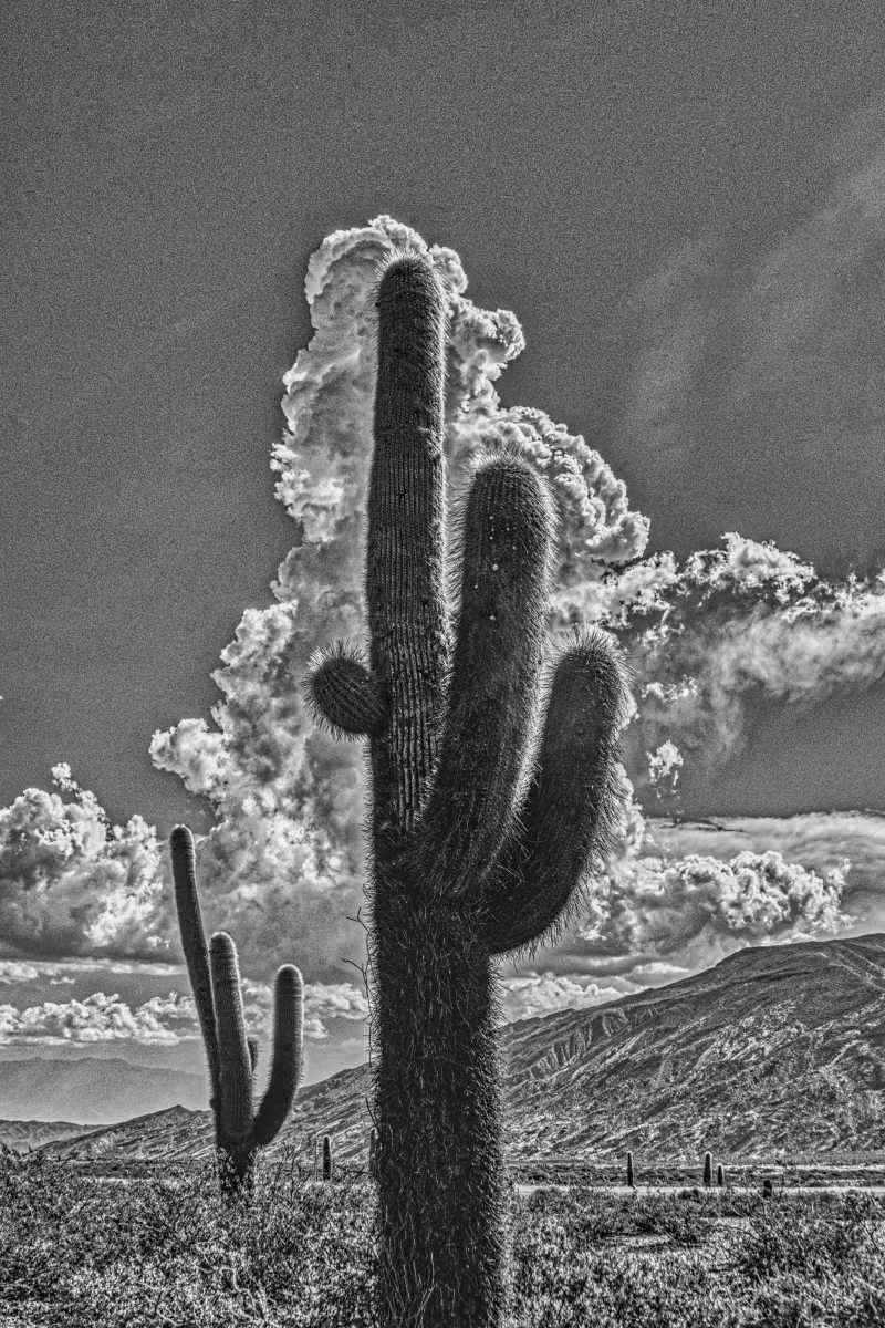 photos noir et blanc d'argentine