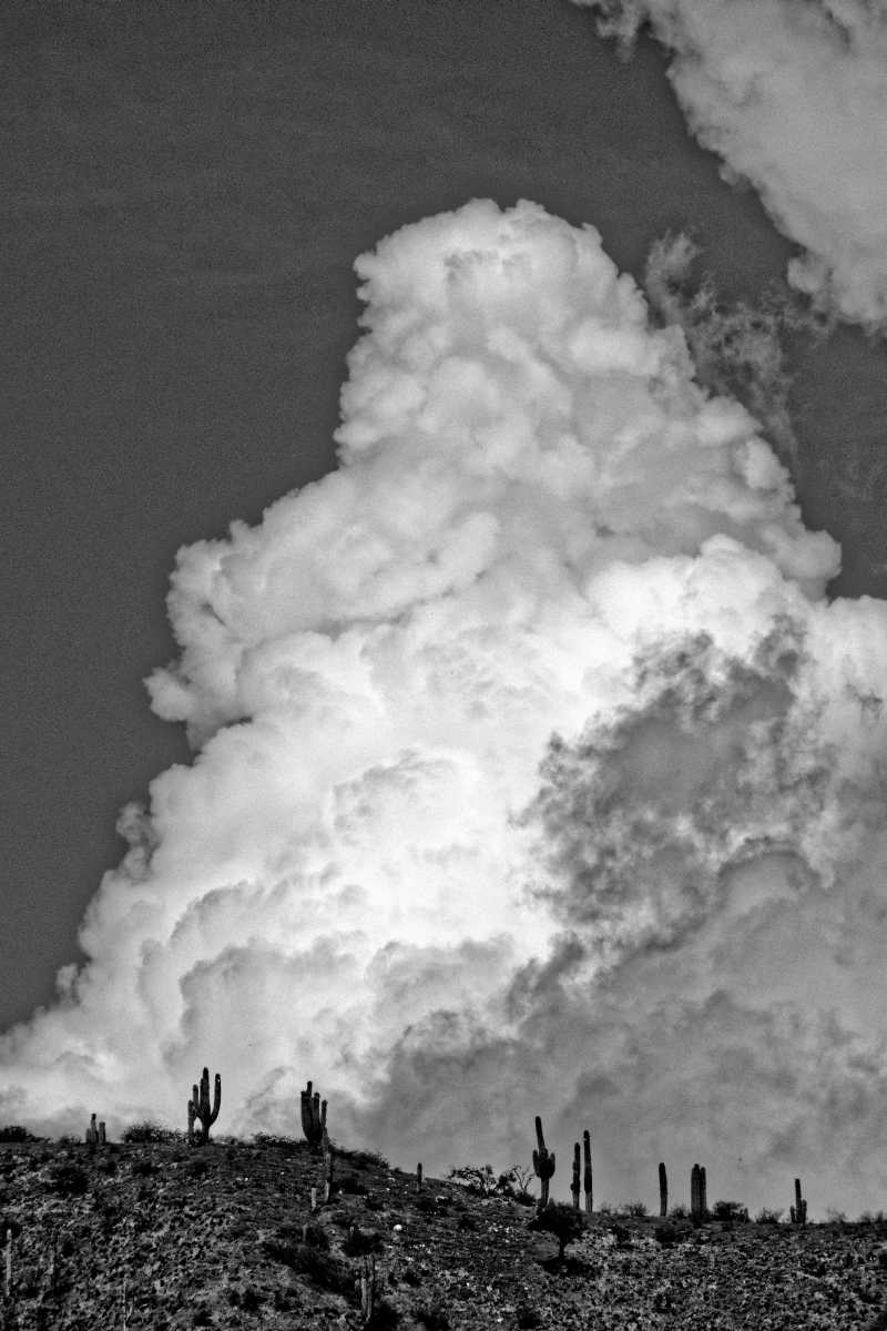 photos noir et blanc d'argentine
