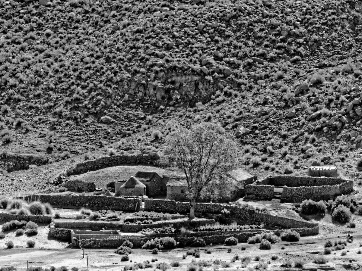 photos noir et blanc d'argentine