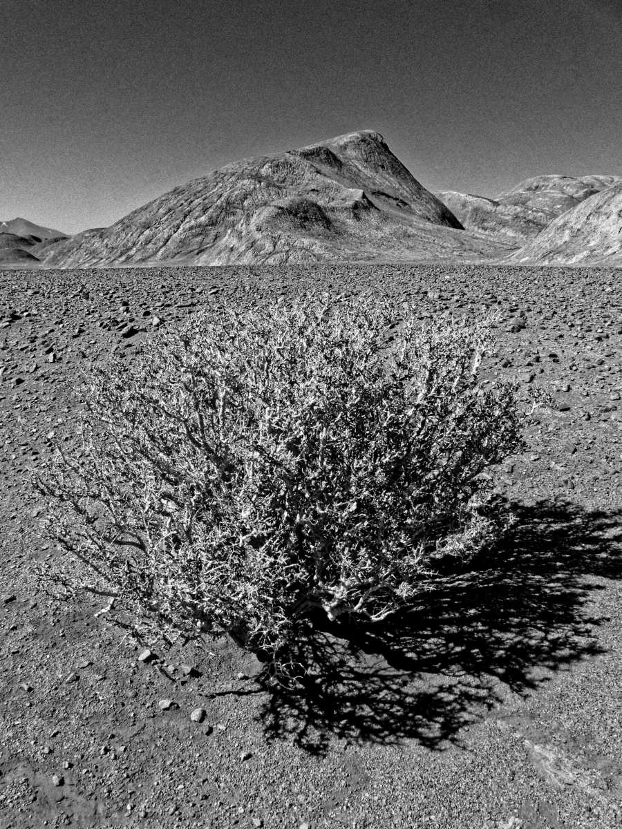 photos noir et blanc d'argentine