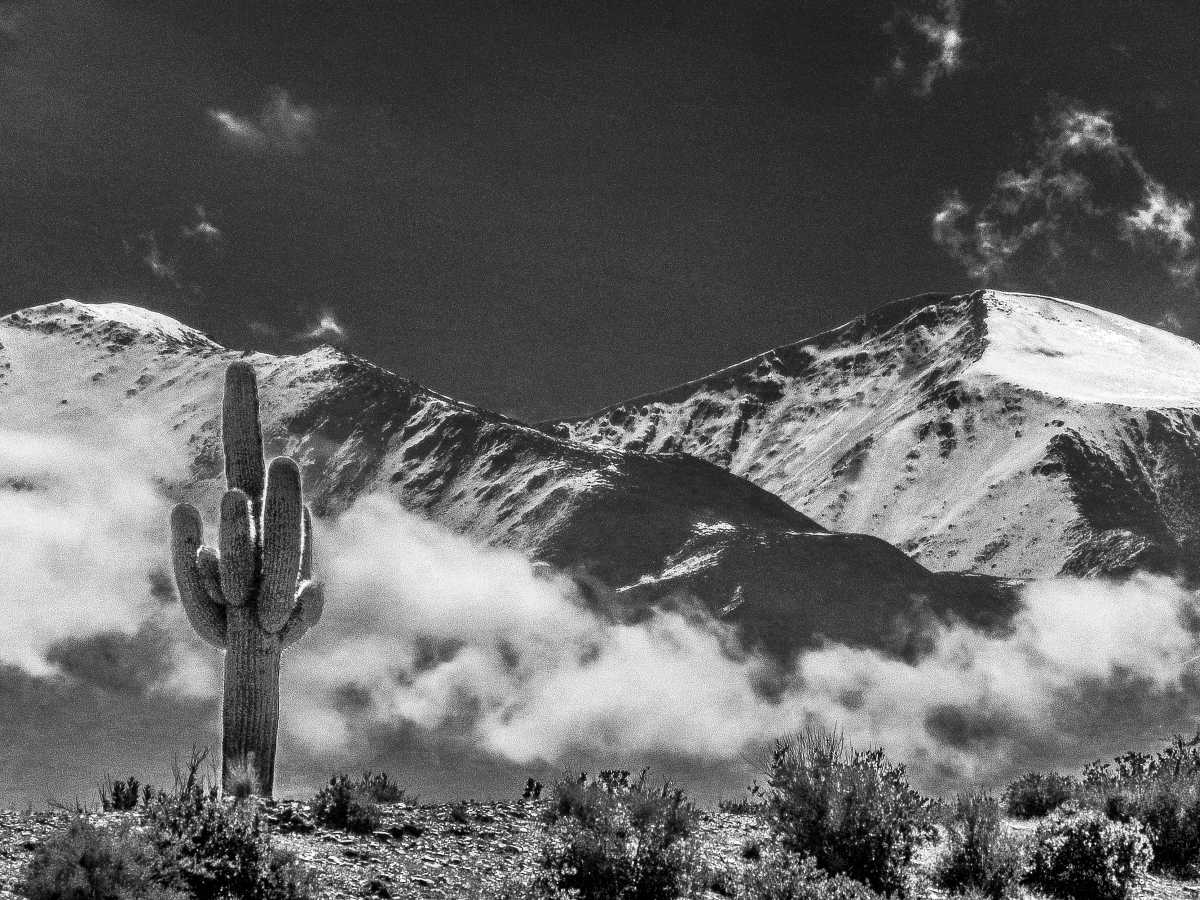 photos noir et blanc d'argentine