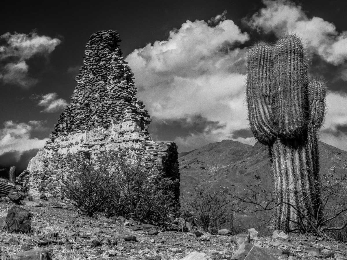 photos noir et blanc d'argentine