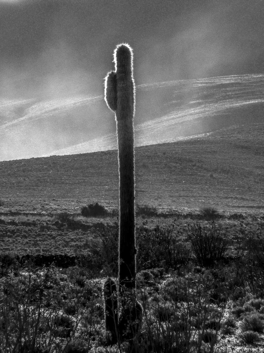 photos noir et blanc d'argentine
