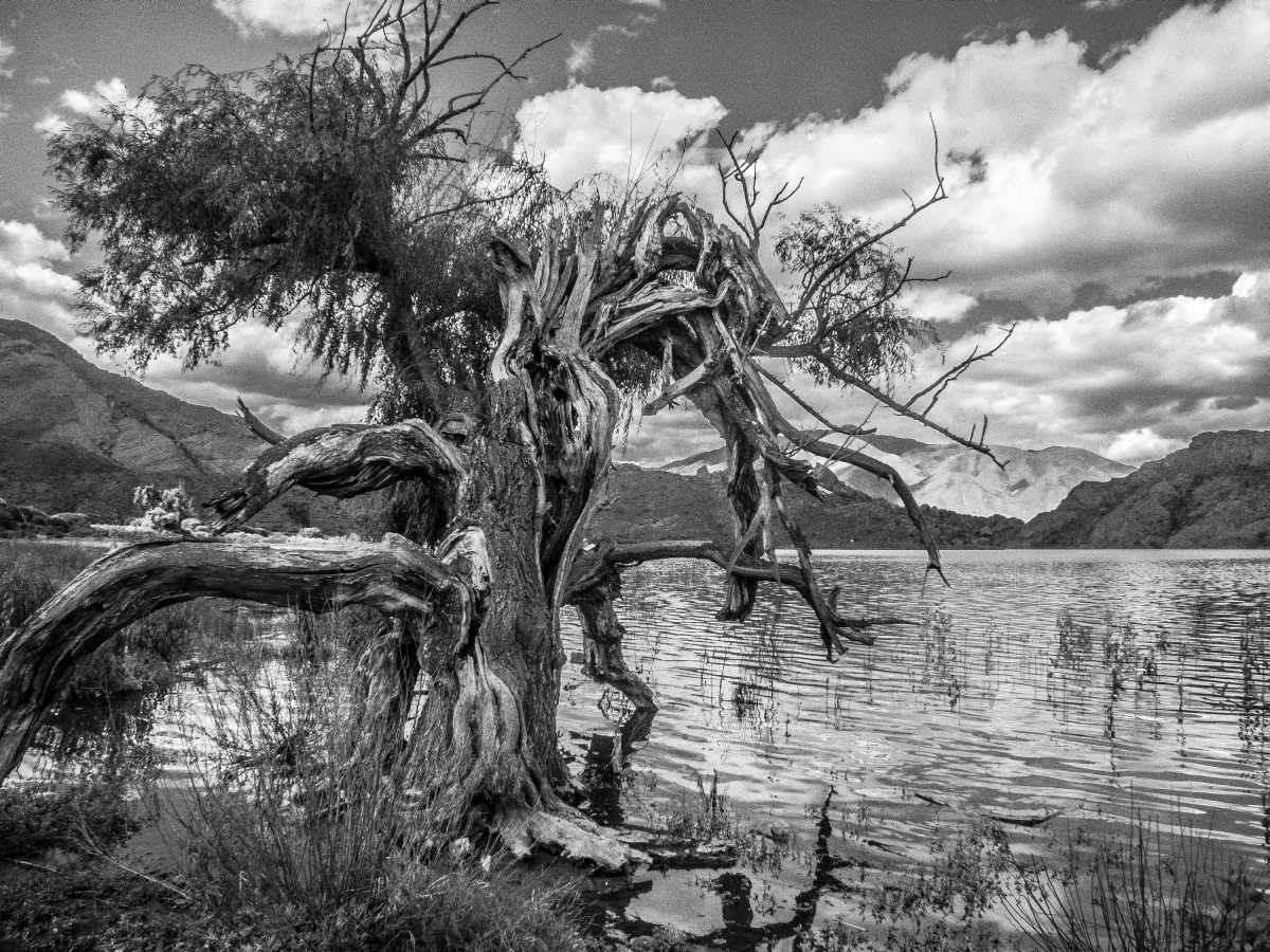 photos noir et blanc d'argentine