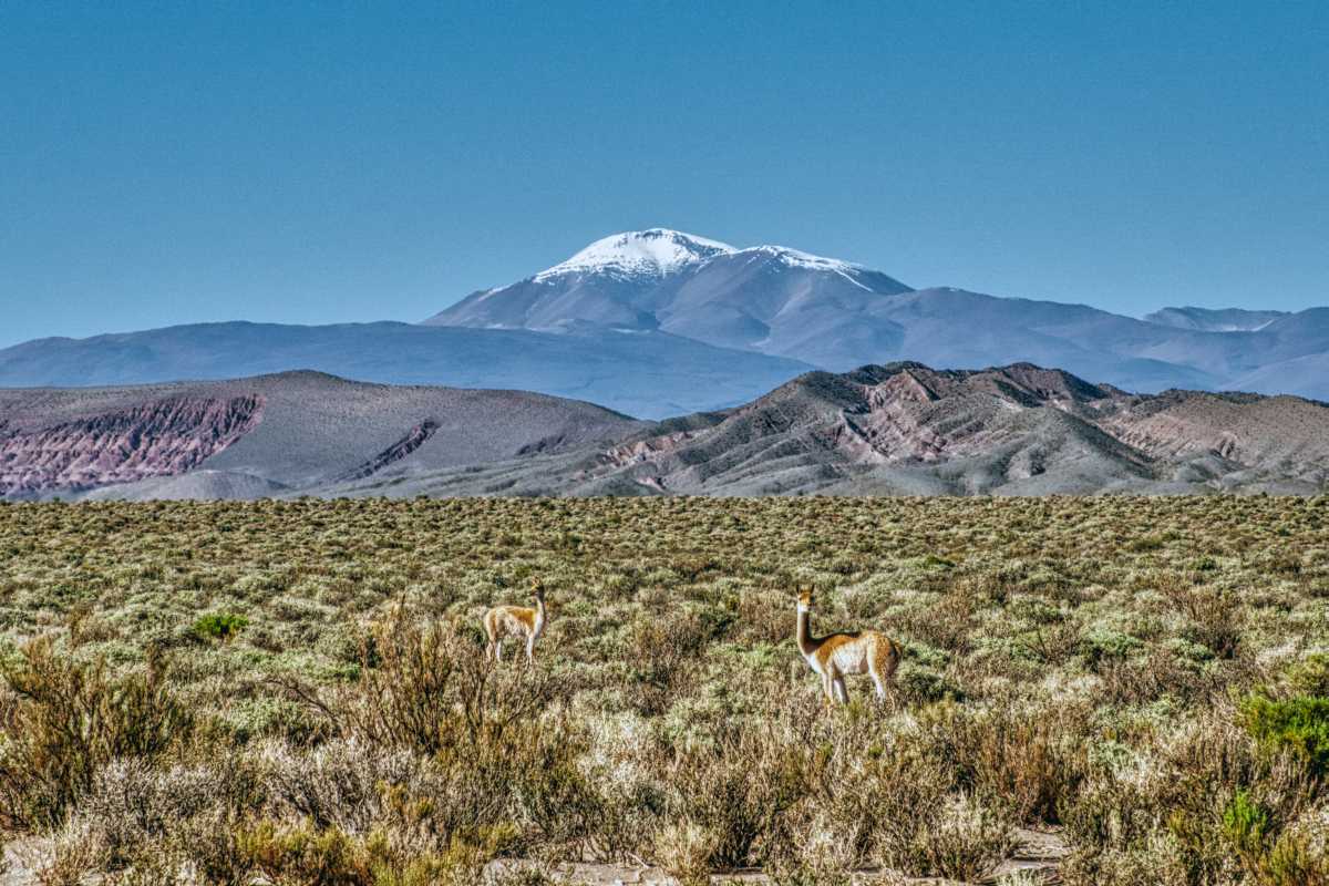 Photos des hauts plateaux argentins