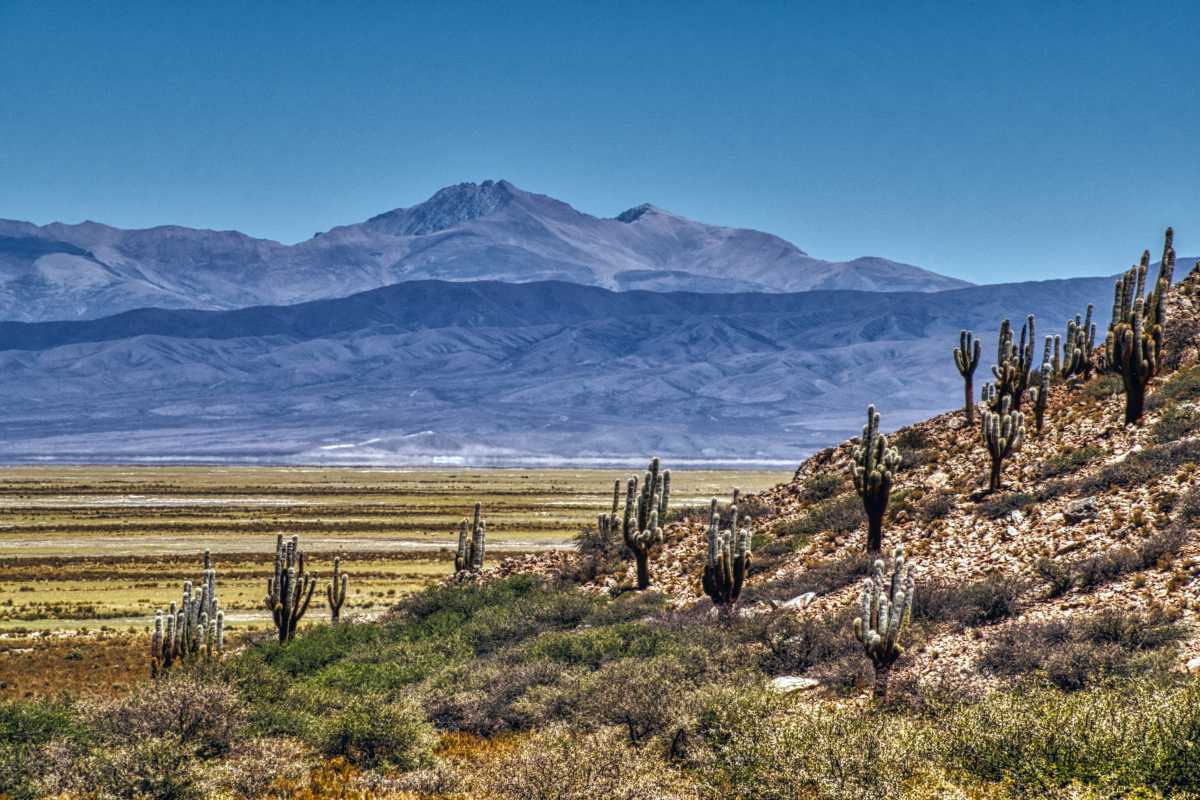 Photos des hauts plateaux argentins