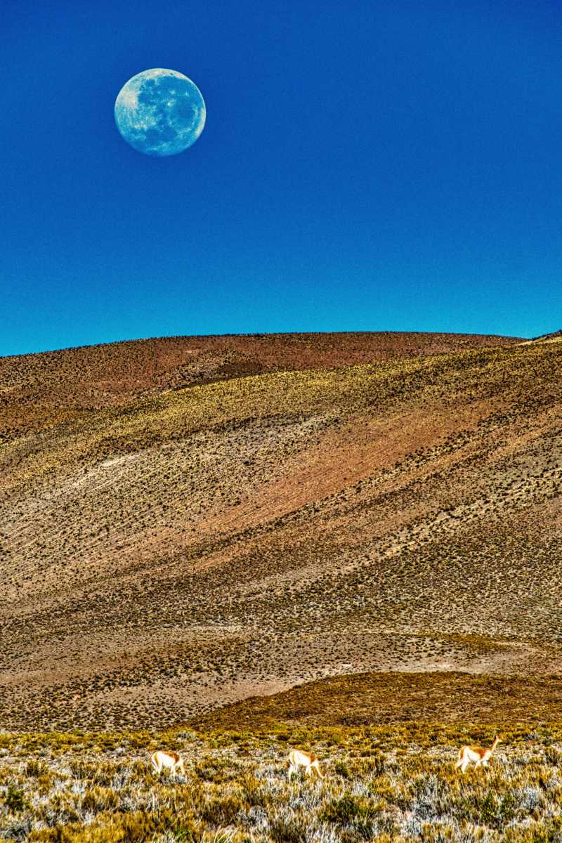 Photos des hauts plateaux argentins