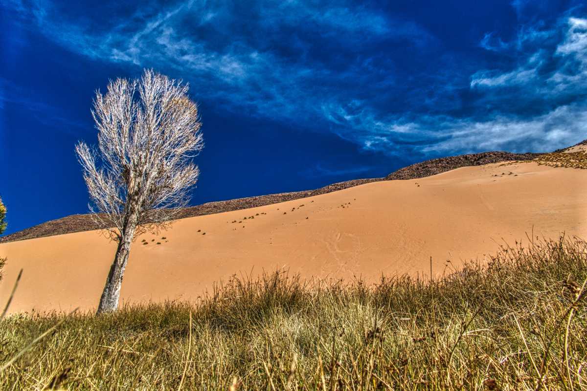 Photos des hauts plateaux argentins