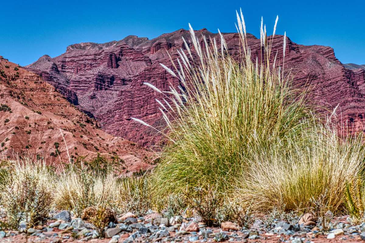 Photos des hauts plateaux argentins