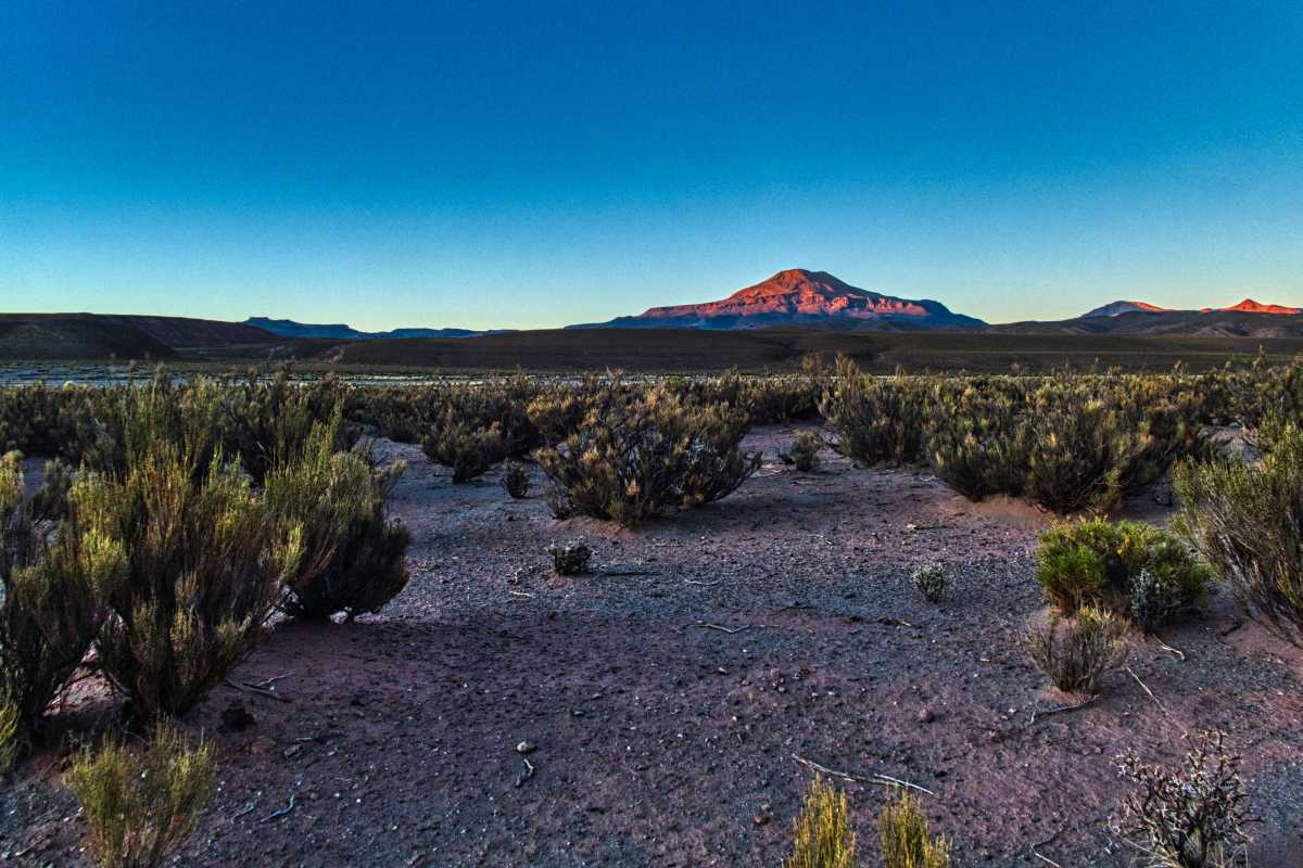 Photos des hauts plateaux argentins