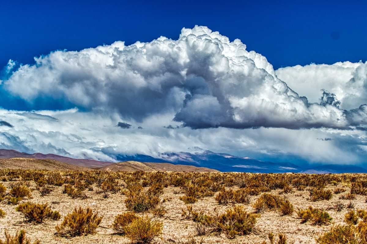 Photos des hauts plateaux argentins