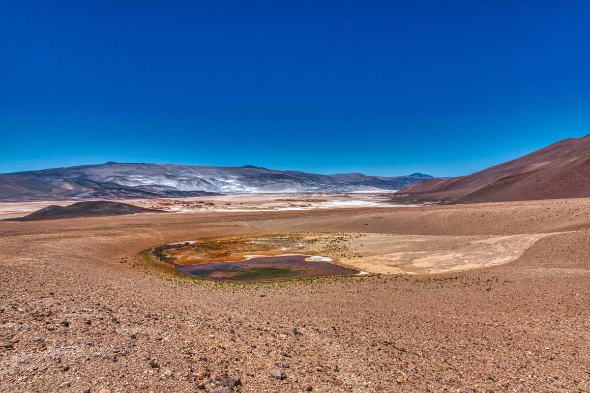 photos de la puna argentine