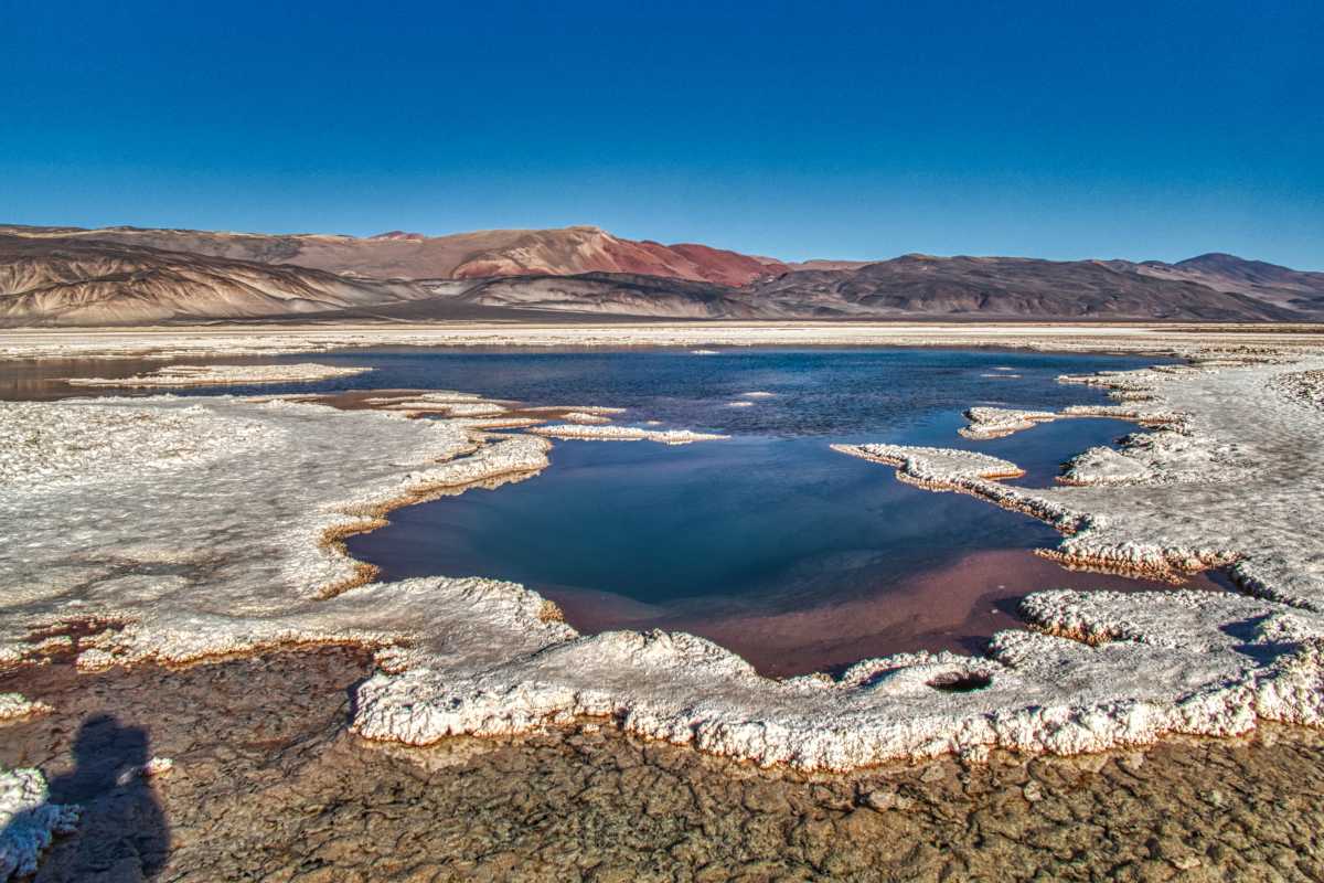 photos de la puna argentine