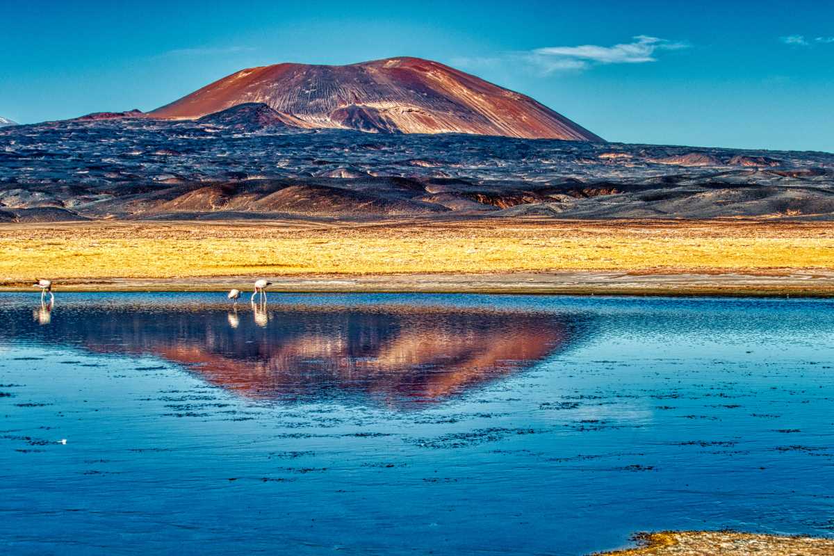photos de la puna argentine