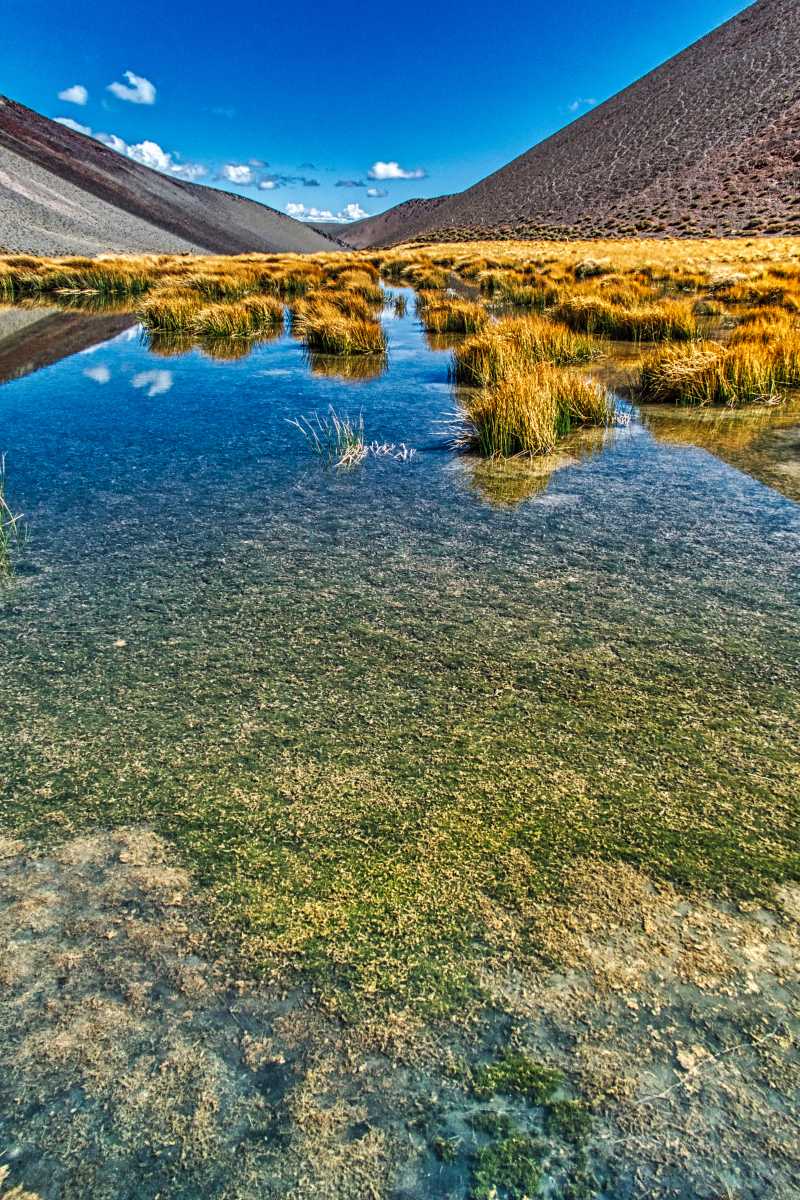 photos de la puna argentine