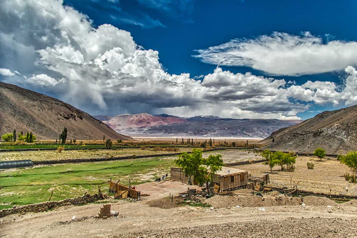 photos de la puna argentine