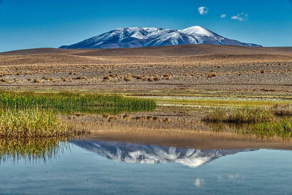 photos de la puna argentine