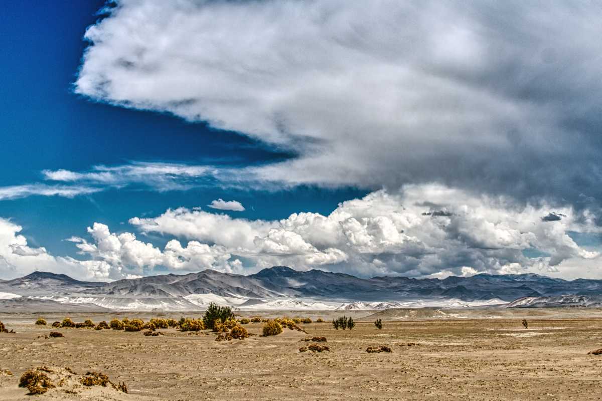photos de la puna argentine