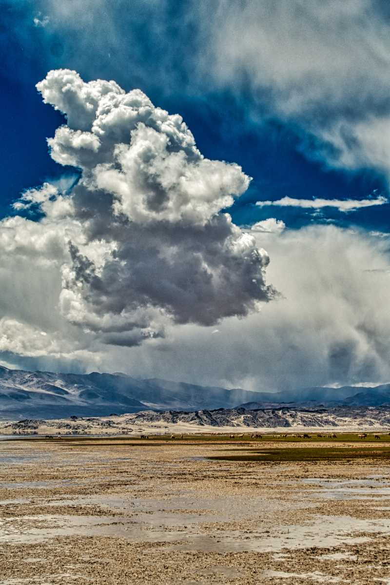 photos de la puna argentine