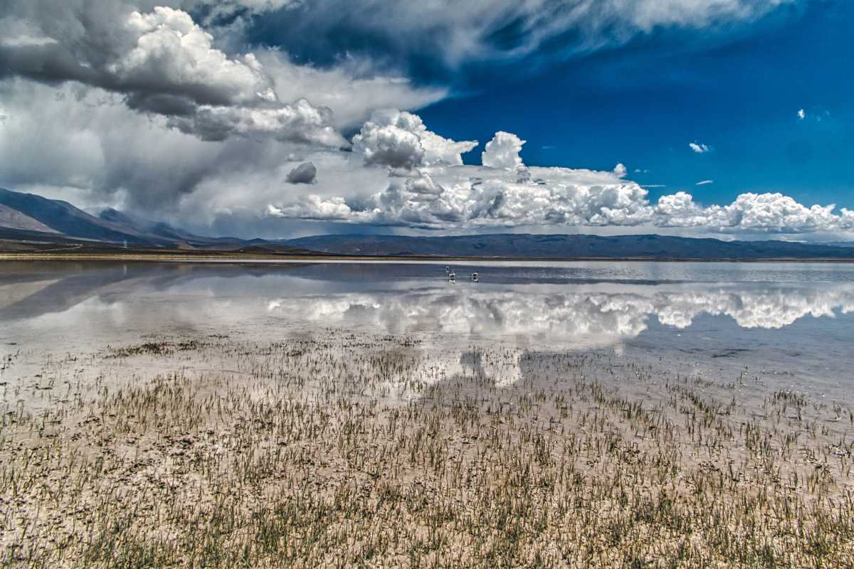 photos de la puna argentine