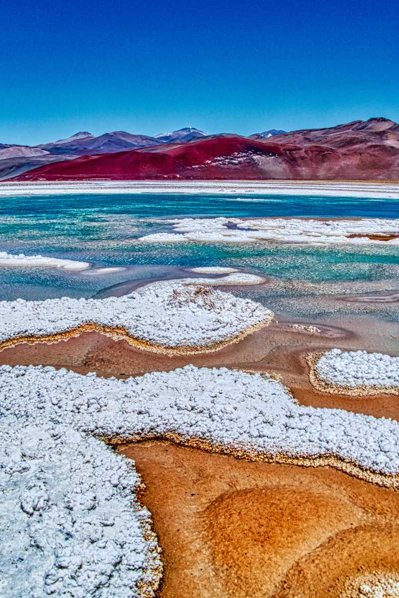 photos de la puna argentine