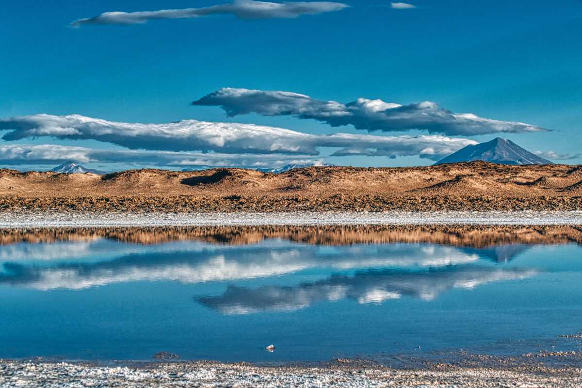photos de la puna argentine