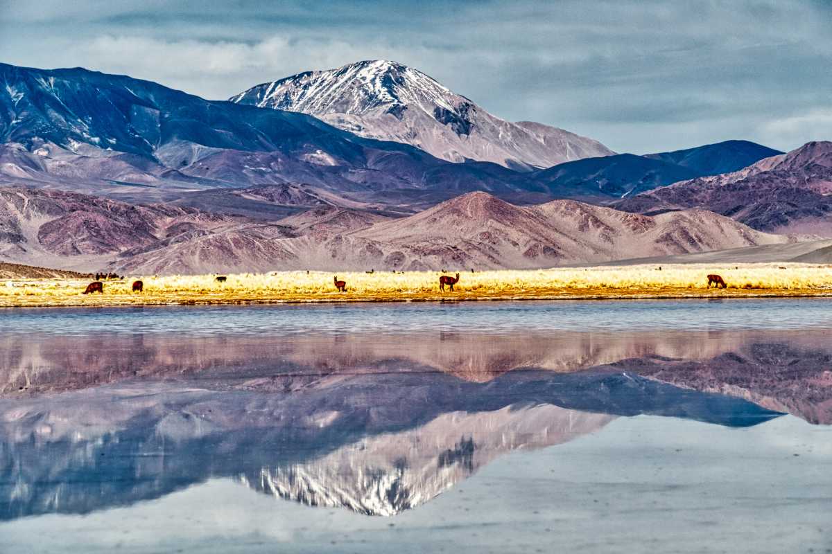 photos de la puna argentine