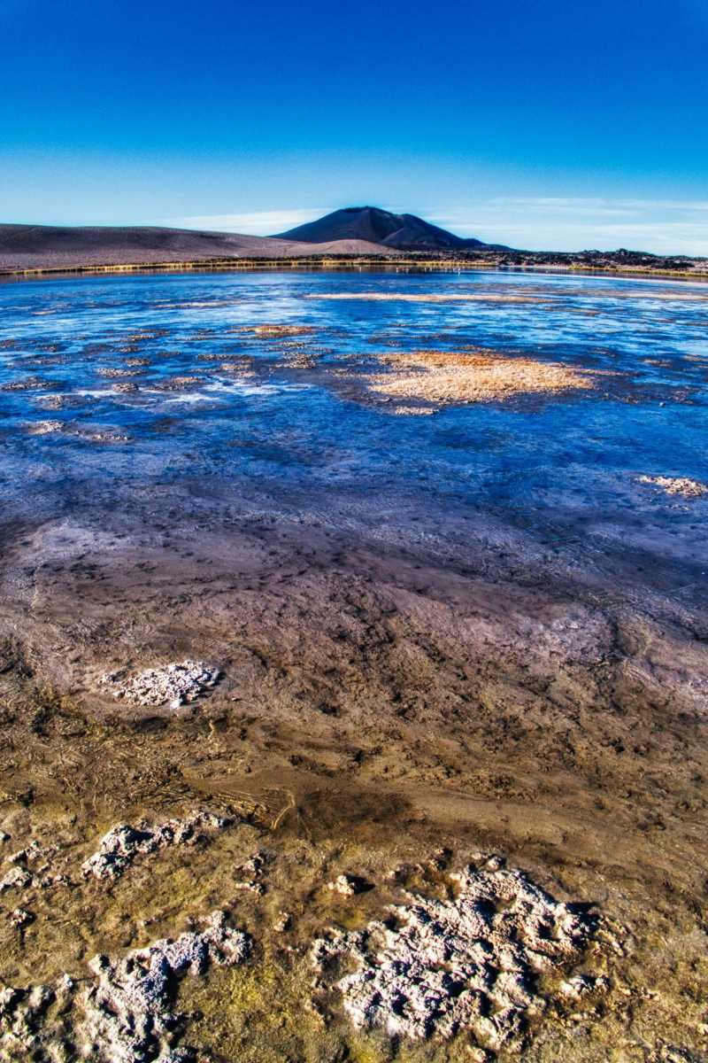 photos de la puna argentine