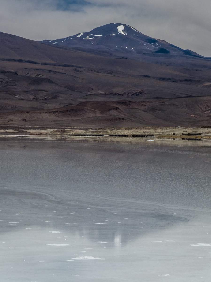 photos de la puna argentine