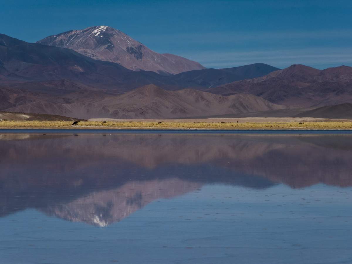 photos de la puna argentine