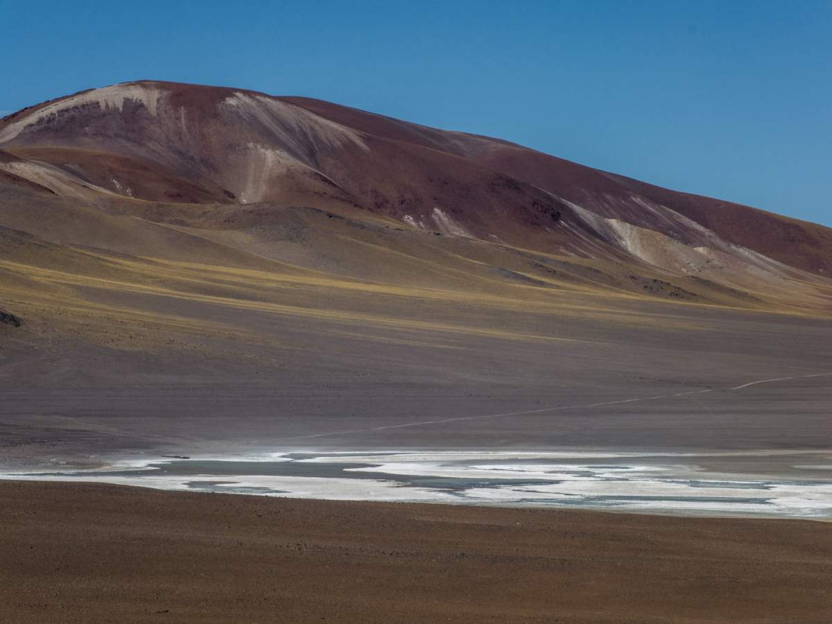 photos de la puna argentine